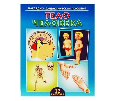 Наглядно-дидактическое пособие "Тело человека", 12 карточек
