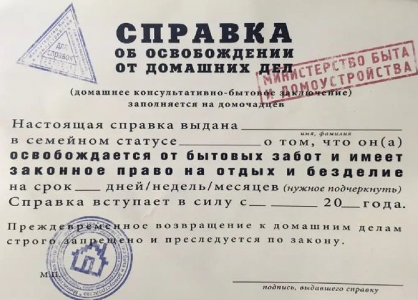 Справка "Освобождение от домашних дел"