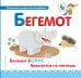 Буква Б. Бегемот