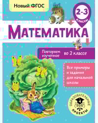 Математика. Повторяем изученное во 2 классе. 2-3 классы