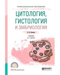 Основы функционирования систем сервиса. В 2-х частях. Часть 2. Учебник для академического бакалавриата