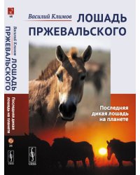 Лошадь Пржевальского. Последняя дикая лошадь на планете. Выпуск №68, №26