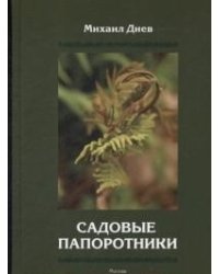Садовые папоротники