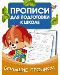 Большие прописи для подготовки к школе