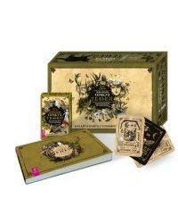 Викканский Оракул Теней. Заклинания Луны, Ритуалы Солнца (брошюра + 48 карт)