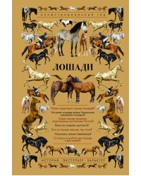 Лошади. История. Экстерьер. Характер