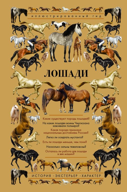 Обложка книги «Лошади. История. Экстерьер. Характер», ISBN 9785171097554