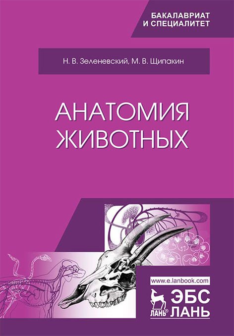 Анатомия животных. Учебник Анатомия животных. Учебник