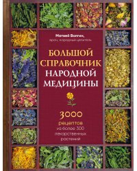 Большой справочник народной медицины. 3000 рецептов из более 300 лекарственных растений