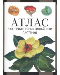 Бактерии, грибы, лишайники, растения. Атлас