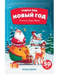 В гостях у Деда Мороза. Книжка с наклейками (50 наклеек)