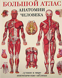 Большой атлас анатомии человека. Лучшие в мире анатомические таблицы