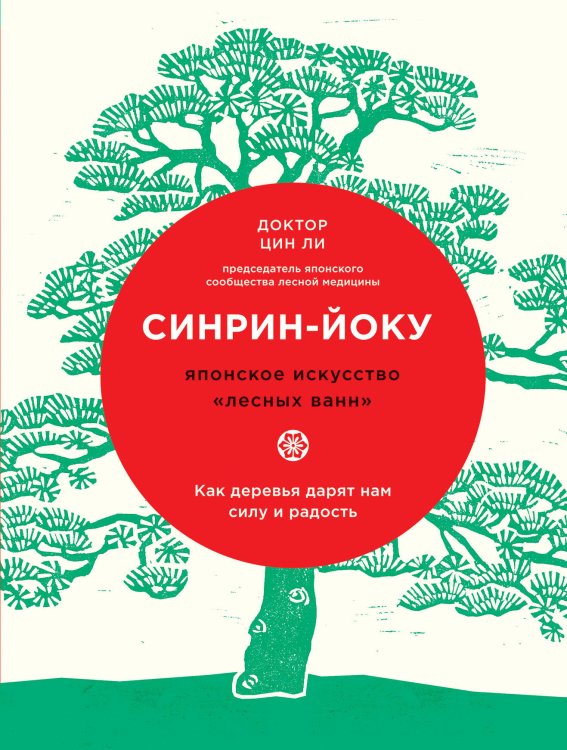 Синрин-йоку: японское искусство "лесных ванн". Как деревья дарят нам силу и радость