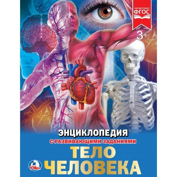 Тело человека. Энциклопедия