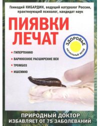 Пиявки лечат