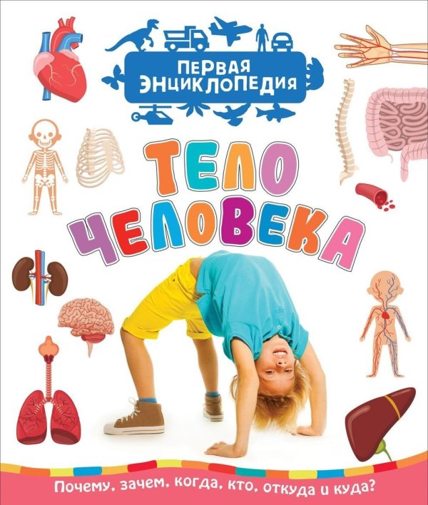 Тело человека. Первая энциклопедия