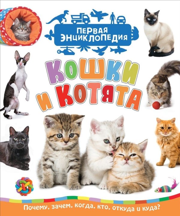 Обложка книги «Кошки и котята. Первая энциклопедия», ISBN 9785353089971