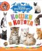 Обложка книги «Кошки и котята. Первая энциклопедия», ISBN 9785353089971