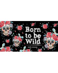 Мой планер. Born to be Wild