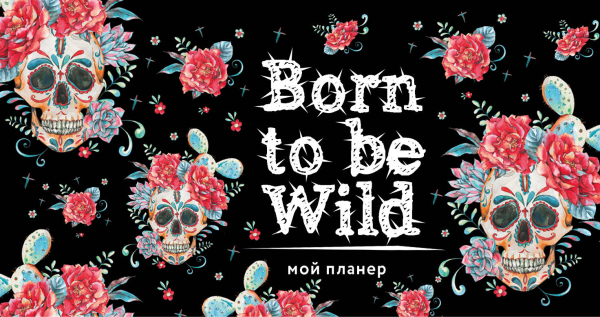 Мой планер. Born to be Wild