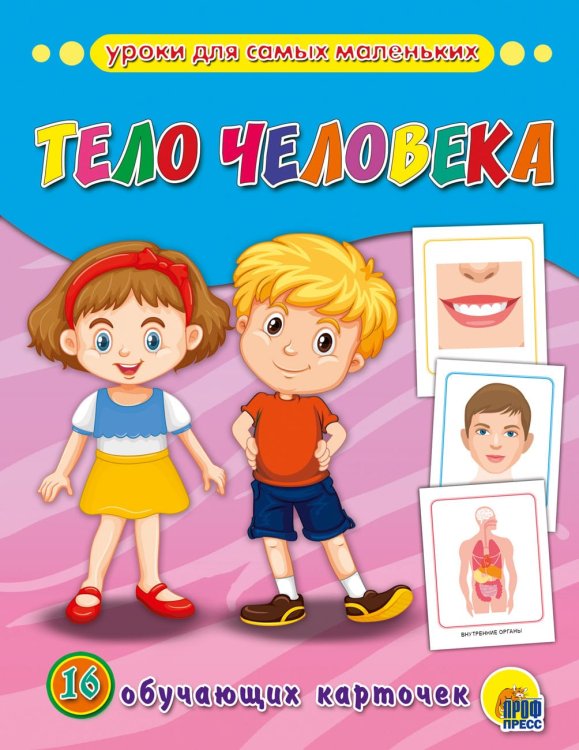 16 обучающих карточек "Тело человека"