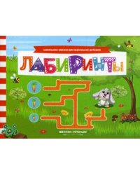 Лабиринты. Книжка с заданиями