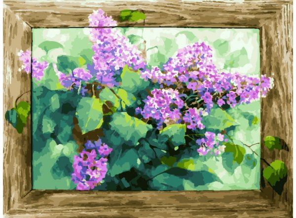 Обложка книги «Набор для рисования по номерам. Любимая сирень, 30х40 см»