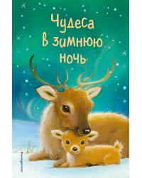 Чудеса в зимнюю ночь