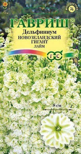 Семена. Дельфиниум супермахровый "Новозеландский гигант лайм" (3 штуки)