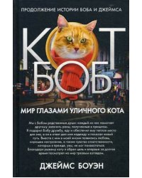 Мир глазами уличного кота