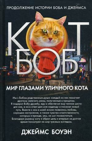 Мир глазами уличного кота