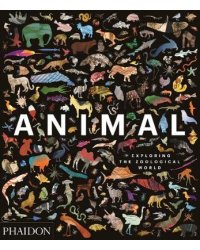 Animal. Exploring the Zoological World