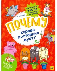 Почему корова постоянно жуёт? Интересные факты о животных на ферме