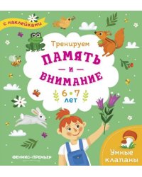 Тренируем память и внимание. 6-7 лет. Книжка с наклейками