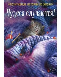 Чудеса случаются!