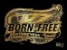 Born-Free. Motorcycle Show