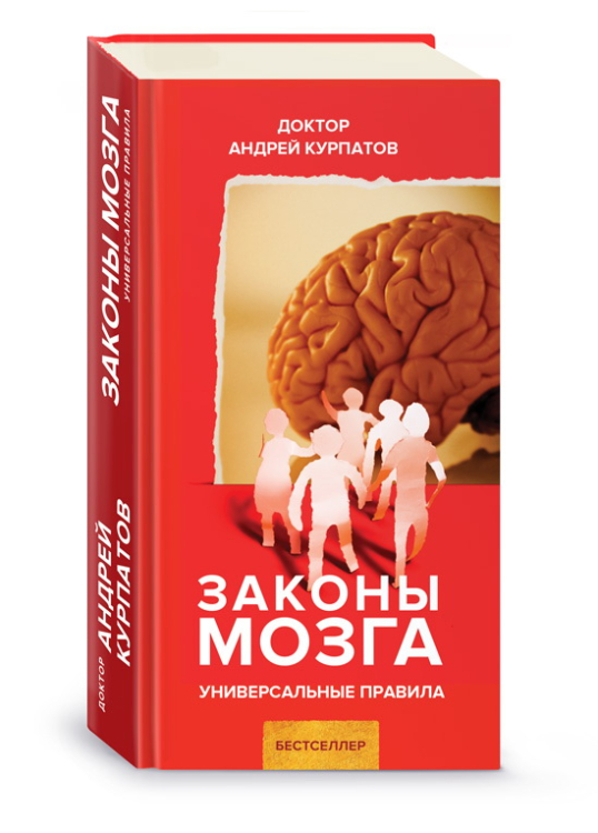 Законы мозга