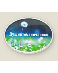 Магнит "Душивтебенечаевск"
