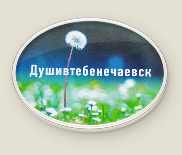 Обложка книги «Магнит "Душивтебенечаевск"»