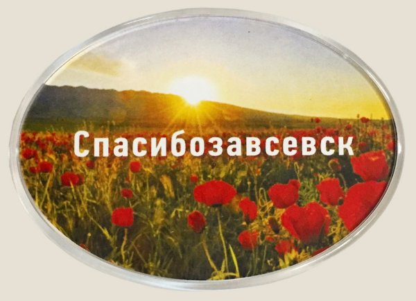 Обложка книги «Магнит душевный "Спасибозавсевск"»
