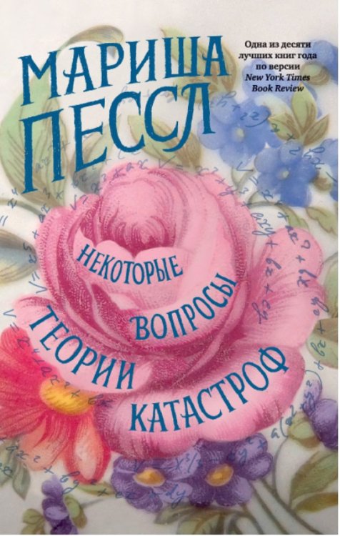 Некоторые вопросы теории катастроф