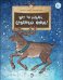 Вот ты какой, северный олень!