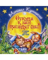 Откуда к нам приходят сны? Стихи для детей