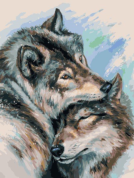 Обложка книги «Набор для рисования по номерам "Не шуми", 30х40 см»