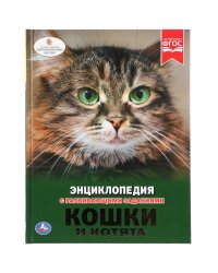 Кошки и котята