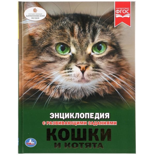 Кошки и котята