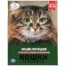 Кошки и котята