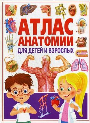 Обложка книги «Атлас анатомии для детей и взрослых» — Феданова Ю., ISBN 9785956724910