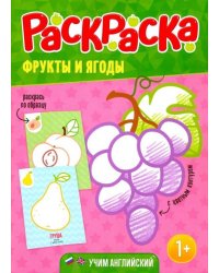 Раскраска для малышей "Фрукты и ягоды"