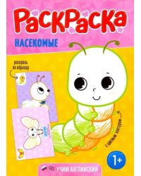 Раскраска для малышей "Насекомые"